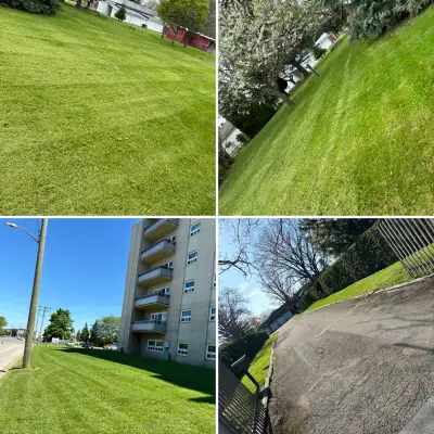 lawn care and excavation services, View more