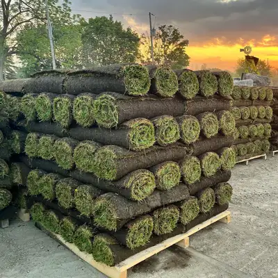 Sod laying starting at $2