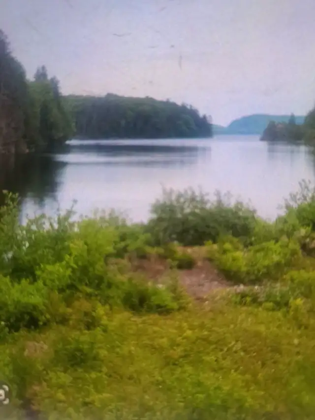 emplacement de camping  mi-sauvage in Quebec in Canada - Image 4