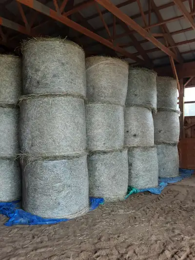Hay for sale, View more