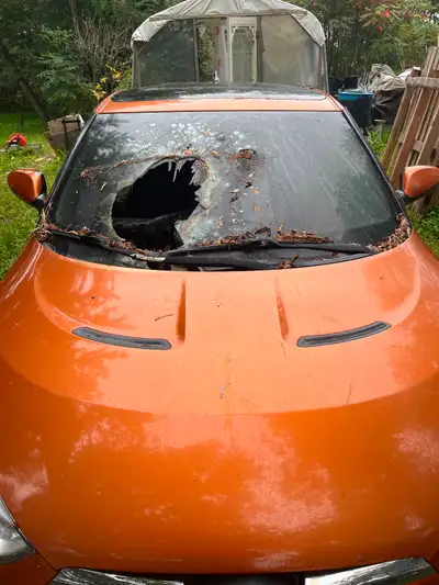 This one caught fire, but still lots of good parts to be had. Selling complete.