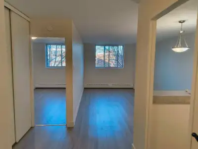 Lease Transfer 3 1/2 Rooms (1 Bed 1 Bath)