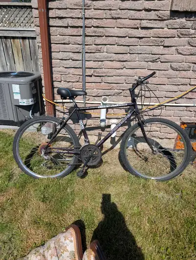 tetsuro様TRIUMPH BINDAYGI CYCLE ビンデージサイクル triumph mountain bike in Bikes in Ontario | Kijiji Marketplaces