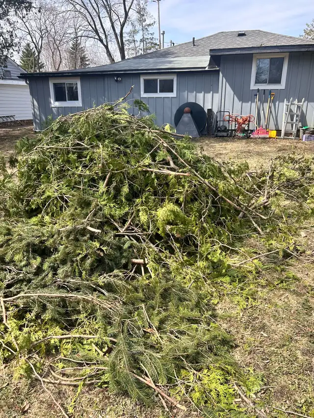 Yard Cleanup & Garbage Removal in Other in Barrie - Image 5