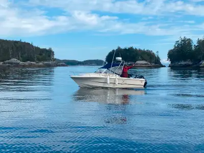 2003 Double Eagle like new 115 MP Mercury & 9.9 kicker Mercury (with SS prop & stock spare) JRC Rada...