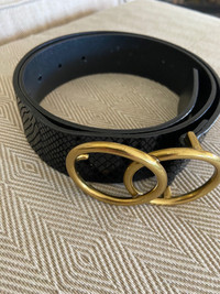 Aritzia Alxiliary Belt