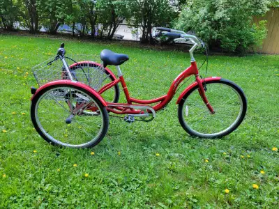1 Schwinn adult tricycle with basket, 2 kids bikes: Schwinn Elm 16" and Royalbaby 18" + 2 Cosco Kids...