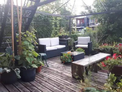 Colocation entre femmes, long terme dans Hochelaga 800$