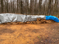 Corde de bois de chauffage  meriser et érable