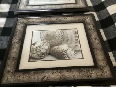 Bathroom Seashell Pictures 17” x 15”, View more