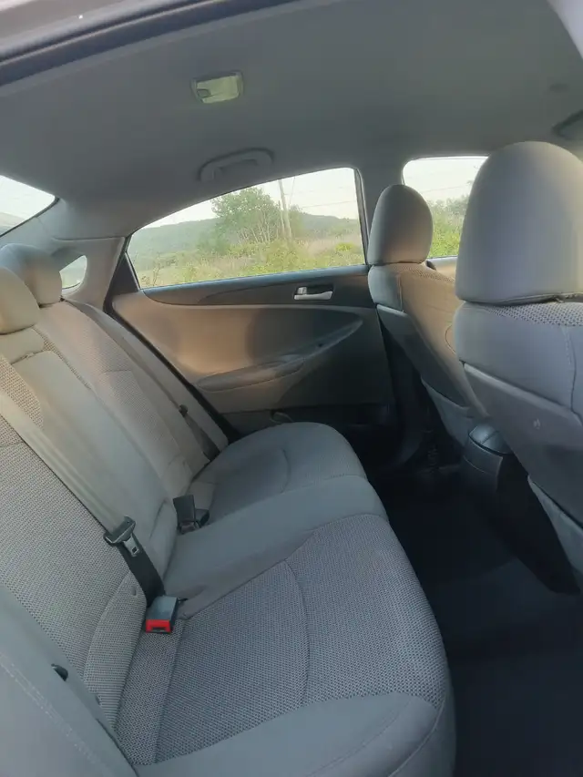 2013 Hyundai Sonata538448230823372802