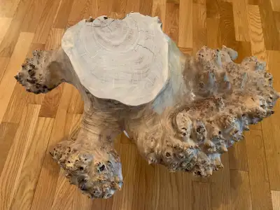 Maple Burl Live Edge – 5 Pieces (Total 21.5 lbs), View more