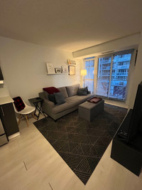 Fort York Condo Rental (furnished)