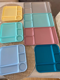 Divider Food Trays