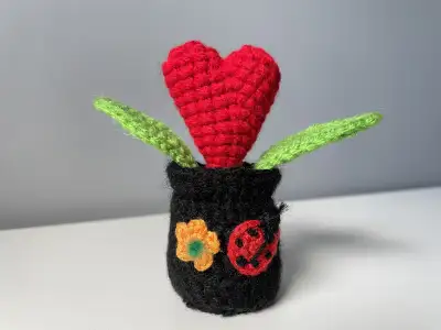 Love Plant Crocheted Heart Succulent, View more