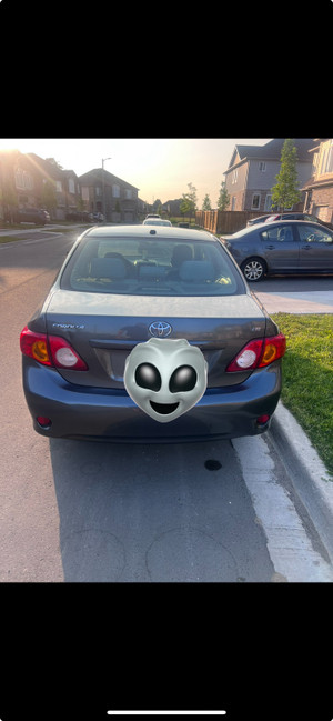 2010 Toyota Corolla