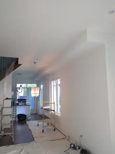 I offer Painting and Plaster services, View more