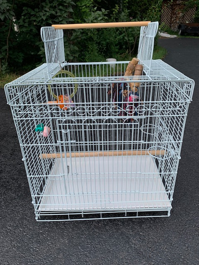 Cage d'oiseau, View more