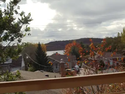 2 Bedroom Apartment-August 1st- South End