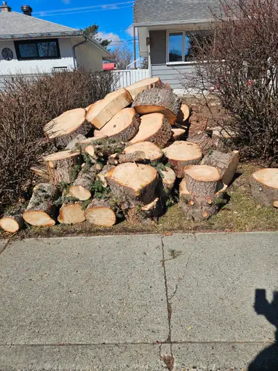 Free firewood, View more