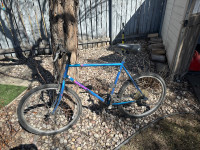 Vintage Nishiki Colorado Mountain Bike 