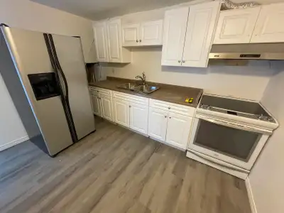 Baement for rent