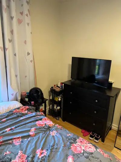 1 room in 2 bedroom top floor triplex