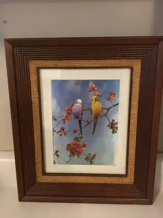 Vintage Dufex Foil Art $35 by F Osborne - 2 Parakeet Budgies, View more