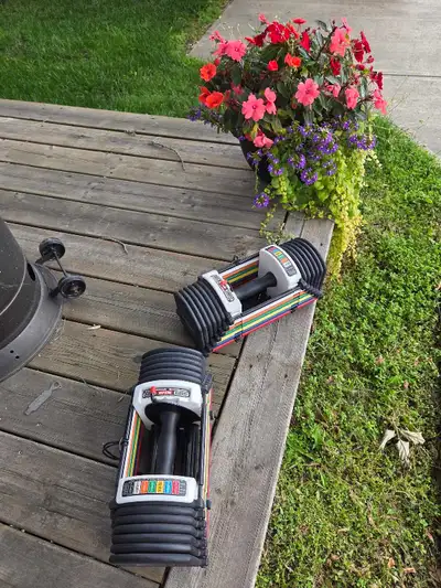 Powerblock Adjustable Dumbbells, View more