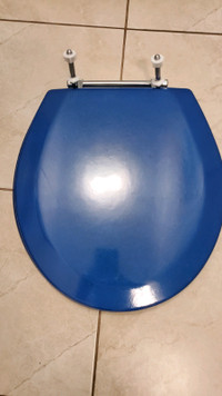 Toilet seat - blue