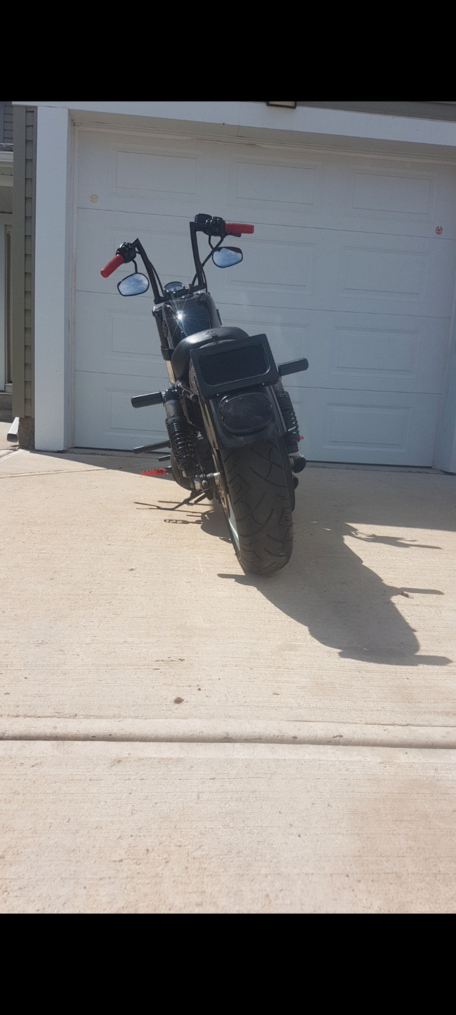 2018 Harley Davidson 48 1200xl in Street, Cruisers & Choppers in Grande Prairie - Image 3