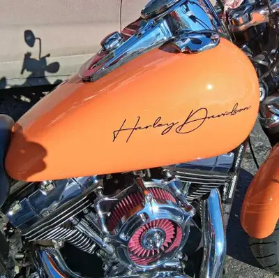 Harley Davidson 2008 fat bob,2 pneus neufs,bearing de roues avant et arrière neuf,freins neuf ,peint...