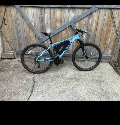 Custom electric bike, View more