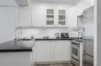 Condo for rent( Downtown toronto)