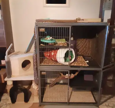 Ferret Nation cage, View more