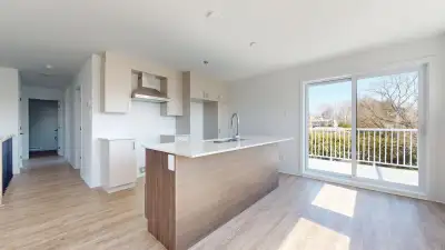 Logement neuf à louer
