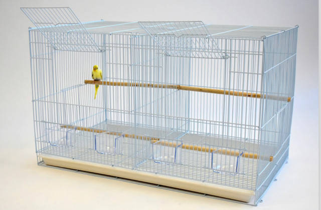 Oiseaux Double cage d’élevage reproduction/ bird breeding cage dans Oiseaux à adopter  à Ville de Montréal - Image 3