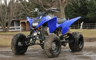 Yamaha Raptor 125 5 seed clutch runs good $3000 Yamaha TTR 125 starts will idle then die it’s been s...