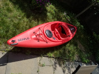 10 foot SeaFlo Kayak