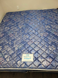 Sealy diamond series mattress 