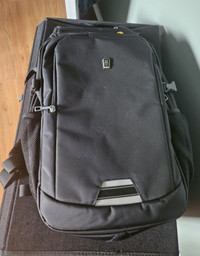 1 Backpack and 1 Gregory Hiking Backpack for Sale