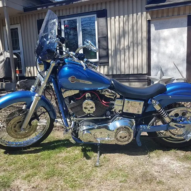 1999 dyna in Street, Cruisers & Choppers in Owen Sound - Image 6