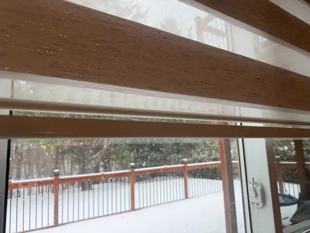 Custom Made Blinds 65745640043138123