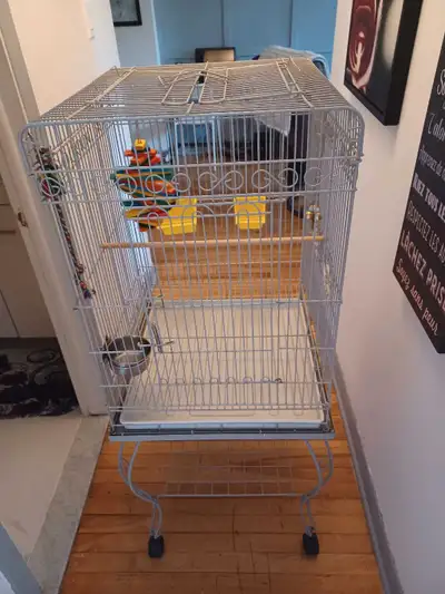 cage oiseau sur roulette 20x20x47 solide propre bon état $80, View more