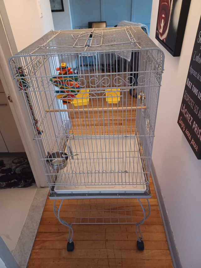 cage oiseau sur roulette 20x20x47 solide propre bon état $80 dans Oiseaux à adopter  à Laval/Rive Nord
