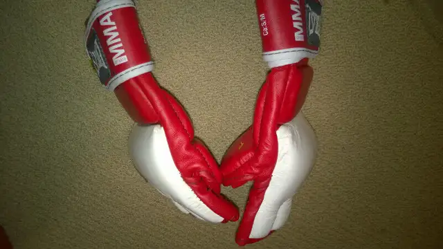 Everlast MMA Amateur Fight Gloves in Exercise Equipment in Mississauga / Peel Region - Image 5
