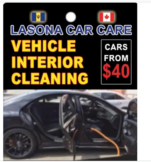 Mobile Car Detailing / auto detailing from $40 call 647503.4829 in Detailing & Cleaning in Mississauga / Peel Region