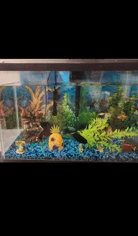 Fish tank and cabinet 