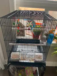Bird cage movable with one bird