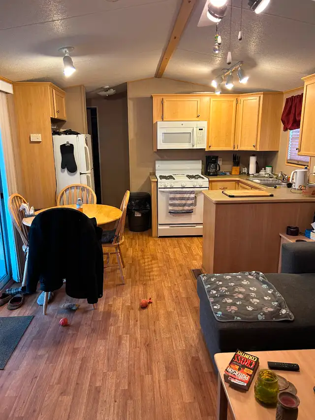 2010 Northern Cottage Escape mobile home in Park Models in Grand Bend - Image 5